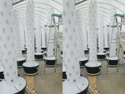 6P15 Hydroponic Tower Systems for Commercial Vegetable Farming Project in Jamaica