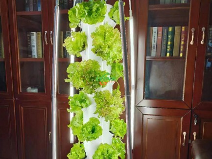  the aeroponic system