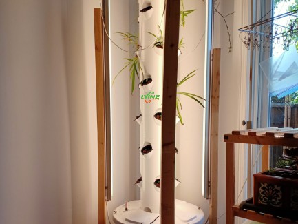 the aeroponic system