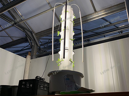 Aeroponic Tower System