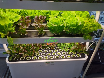 Indoor Hydroponic Grow Cabinet