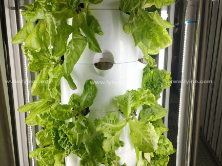 Aeroponic Tower System