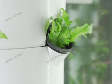 Hydroponic Tower System