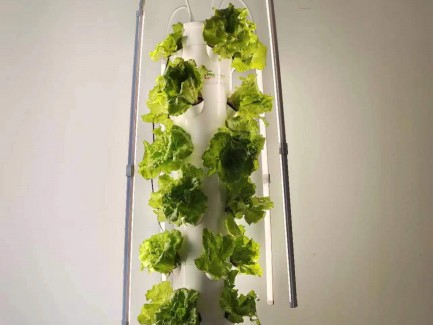 the aeroponic system