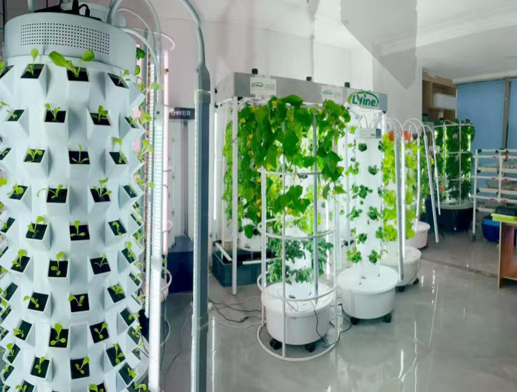 French customer using indoor hydroponic tower to grow fresh vegetables and herbs in an apartment