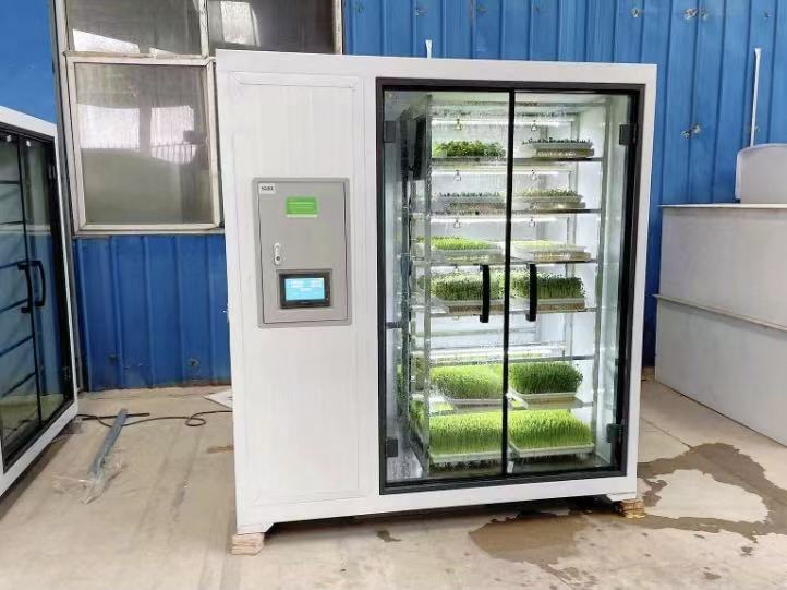50kg per day hydroponic fodder machine with PLC control and top spray irrigation system for barley grass production
