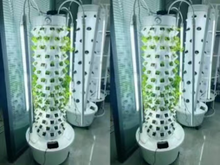 12P15 vertical hydroponic tower system for commercial leafy greens production project in Chile