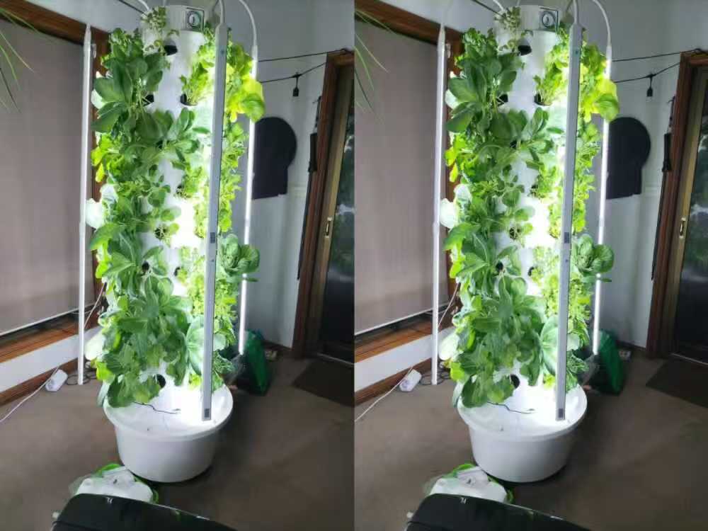 6P10 hydroponic tower with 60 planting sites for indoor leafy green growing in Barbados