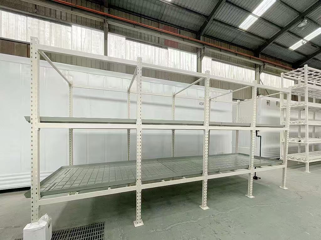 Custom EBB and Flow hydroponic system for growing large Monstera plants