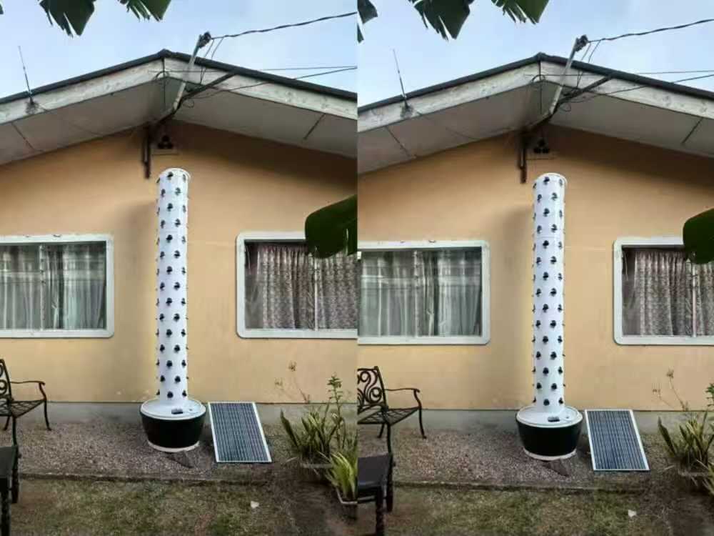 6P15 hydroponic tower growing lettuce and leafy greens in a Mauritius home garden
