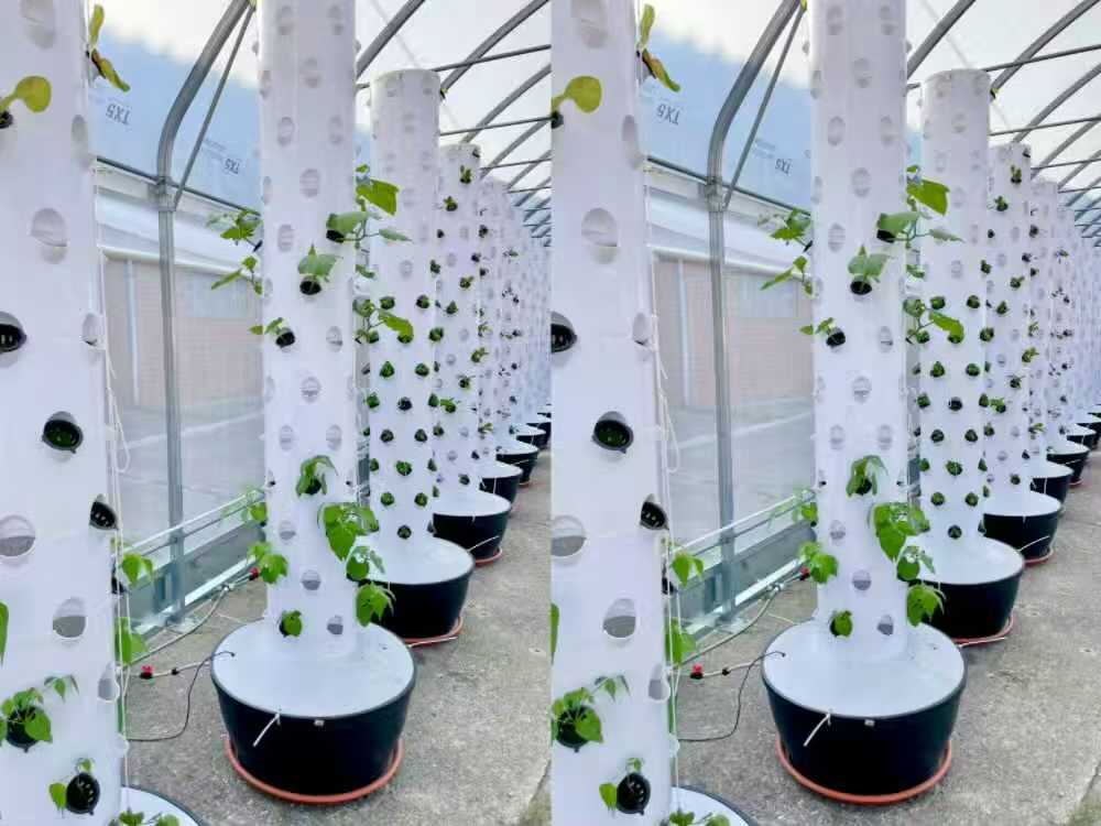 6P15 commercial hydroponic tower system for vertical farming project in Spain showing 20 sets of stable and water saving planting columns