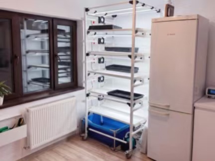 Home Hydroponic Microgreens Growing System Installed for Indoor Gardening in Romania