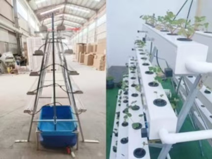 Hydroponic NFT System for Greenhouse Lettuce Growing Project in Saint Lucia
