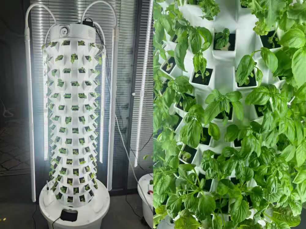 240 planting site high density hydroponic tower for home vegetable growing in the Bahamas