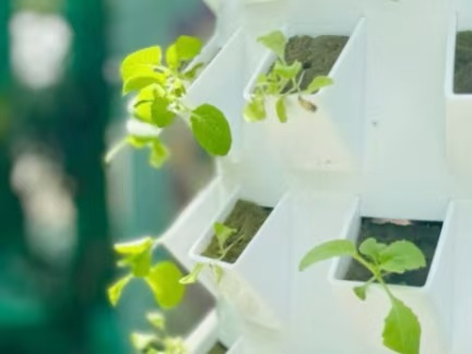 12P20 hydroponic tower system for vertical leafy green farming in Peru with high density soilless growing setup