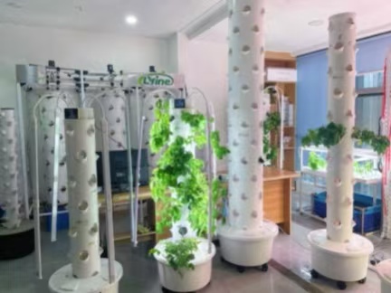Hydroponic Tower Systems for Sustainable Indoor Farming Solutions in Canada