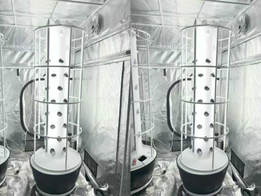 Australian Indoor Farming Project Uses 6P10 Vertical Hydroponic System for Year-Round Growing