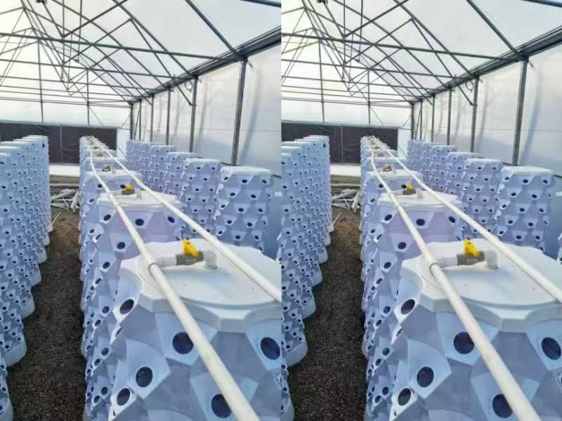 16 sets of 8P10 hydroponic tower systems installed for a commercial agriculture project in the Philippines