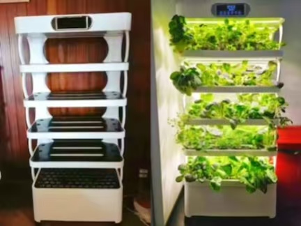 Smart indoor hydroponic growing cabinet with LED grow lights and vertical vegetable growing system in an Italian apartment home