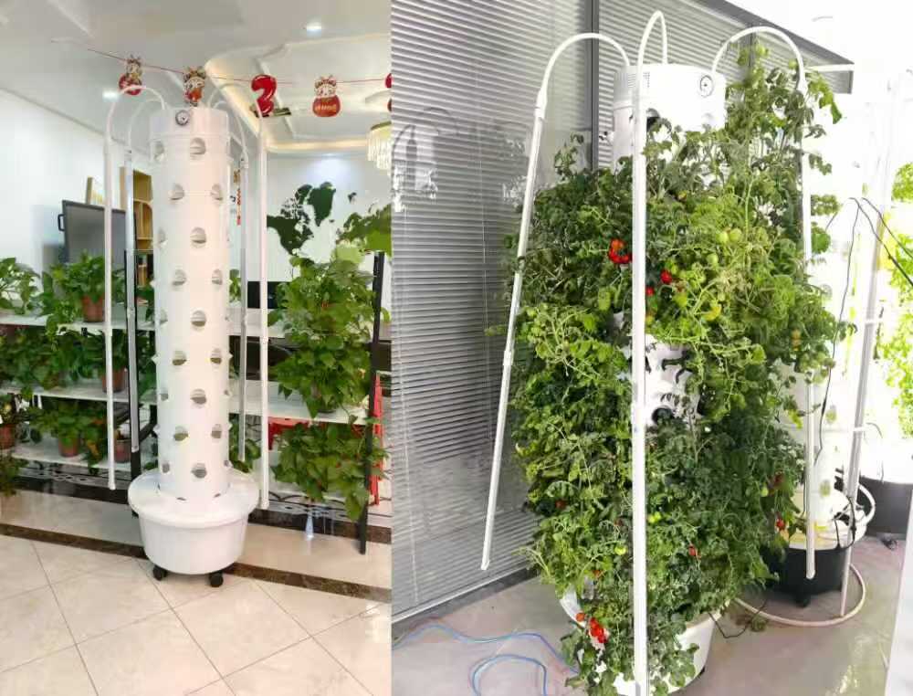 Panama customer using 6P9 LED hydroponic tower for indoor home vegetable gardening