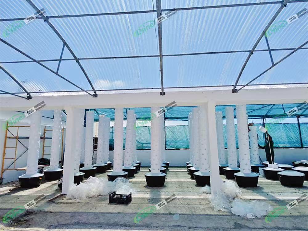UK customer testing hydroponic tower system before expanding to a commercial vertical farming project