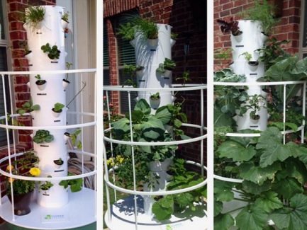 Chile Aeroponic Tower System