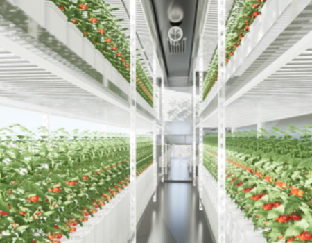 Container Farming