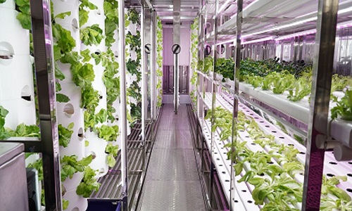  Several Types Of Hydroponic Container Farming