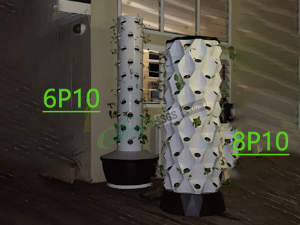 Cook Islands Customer Feedback On Our 8P10 and 6P10 Hydroponic Tower Systems