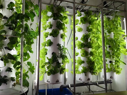 Tower system to grow vegetables