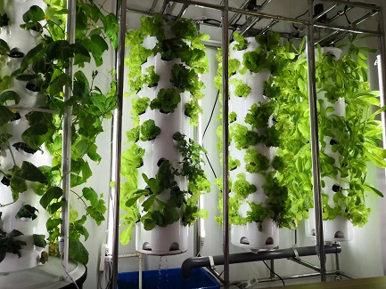  Polish Hydroponic Rotating Tower System