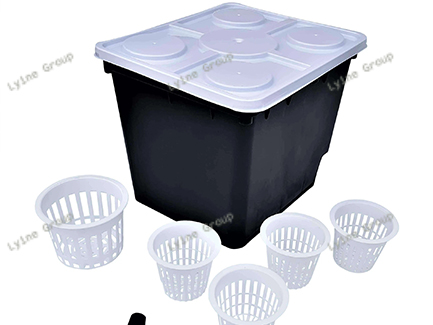 DWC Hydroponic System