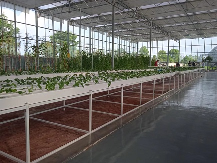  Mauritius Hydroponic Greenhouse
