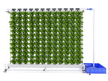 French Polynesia Hydroponic Zip System