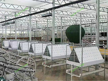 Hydroponics Greenhouse