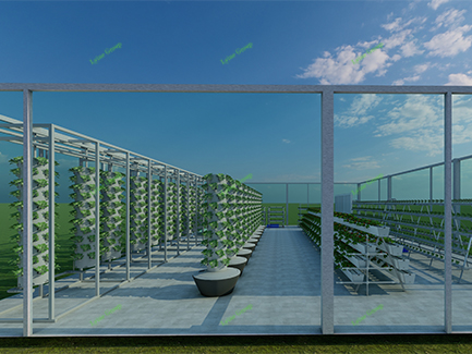 Hydroponic Film Greenhouse