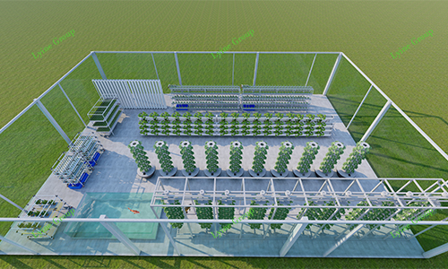 Hydroponic Film Greenhouse