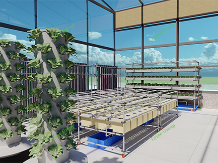 Hydroponic Film Greenhouse