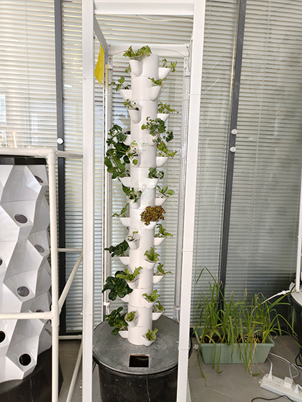 Household hydroponic tower system