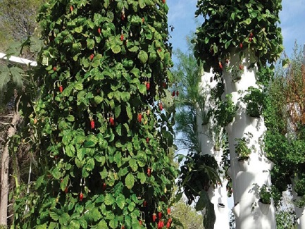 hydroponic tower