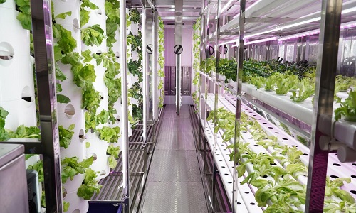  Hydroponic Container Farming Can be Used With Electricity and Water