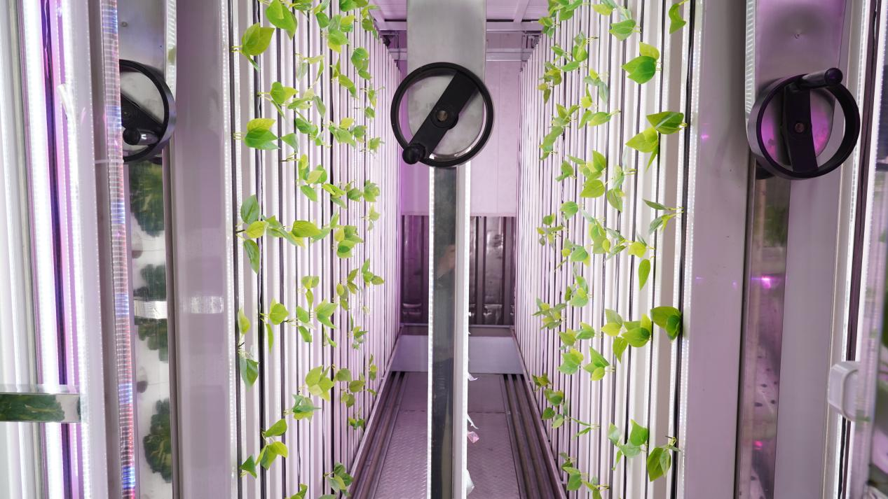 Container Farming