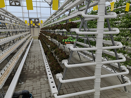 Hydroponic NFT System