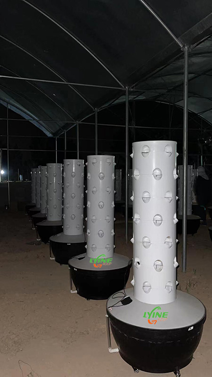 hydroponic tower farm