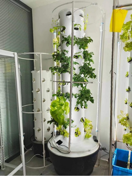 Hydroponic tower system