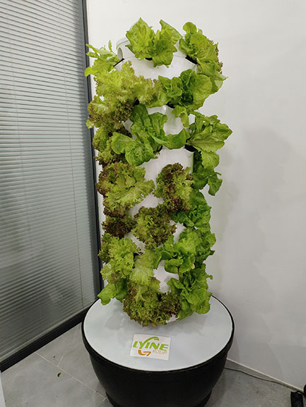 6P7 hydroponic tower system