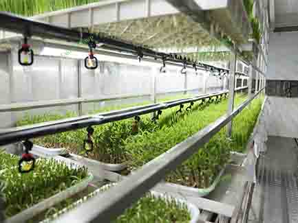 1000kg Daily Output Fodder Container
