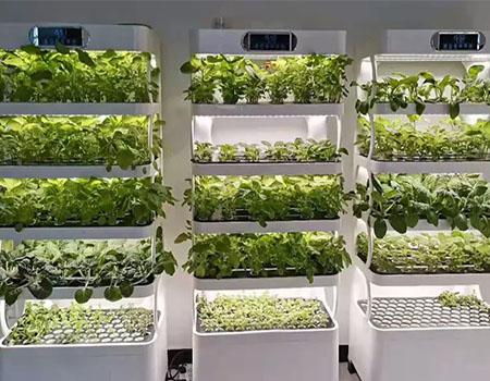 Indoor Hydroponic Grow Cabinet