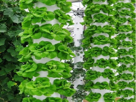 Indonesian Rotating Tower hydroponic system