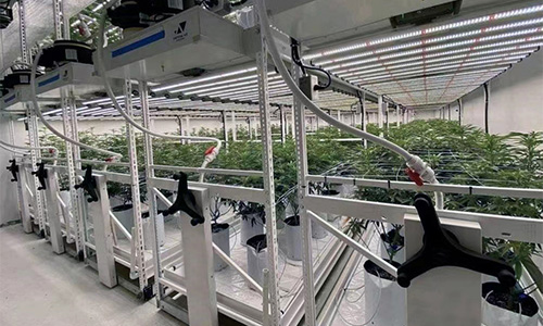 Indoor Farms